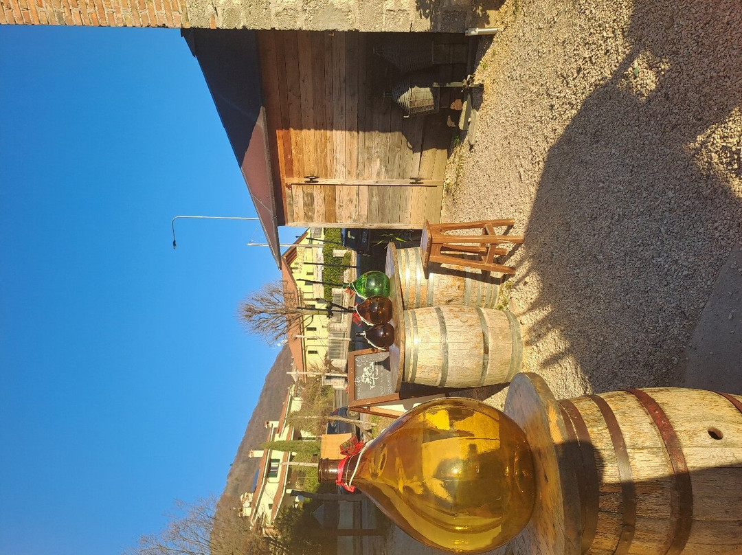 Winery & Farmhouse Famiglia Scotta景点图片