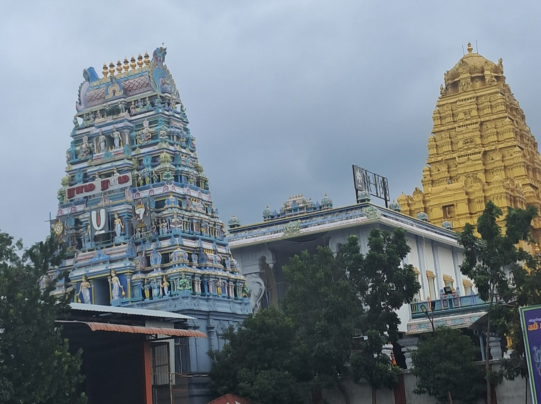 Panchavati Panchamukha Anjaneyar Temple景点图片