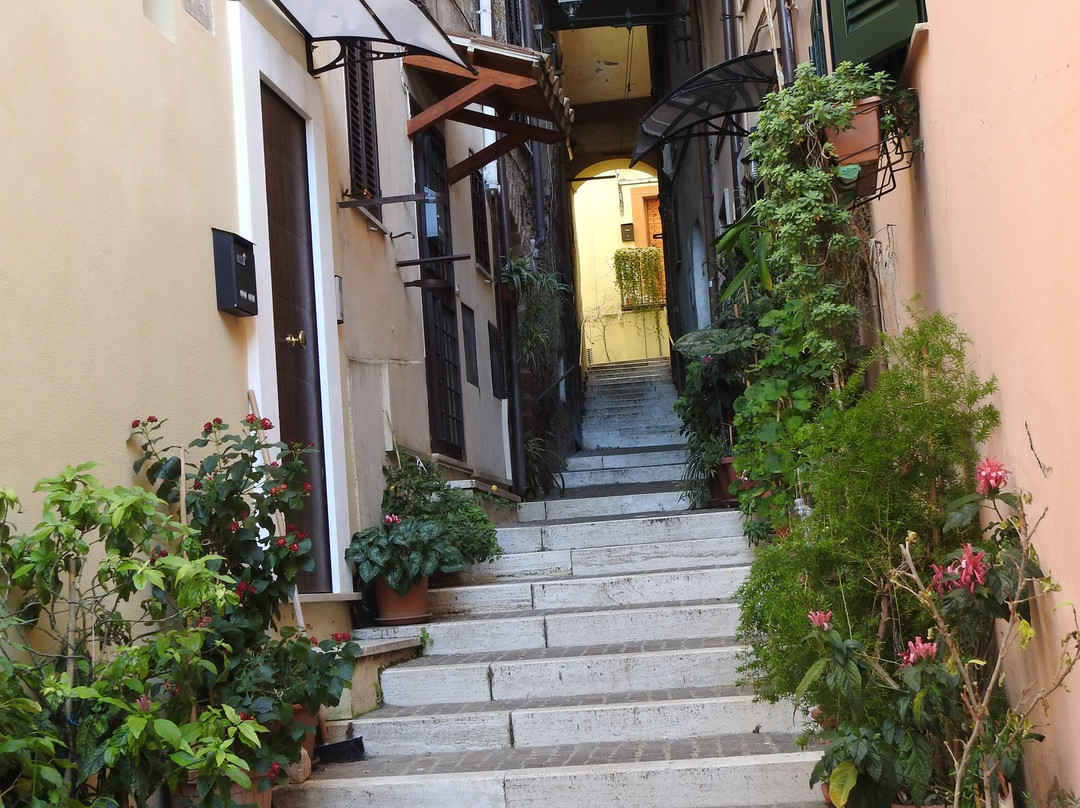 Olive Tree Hill B&B主图