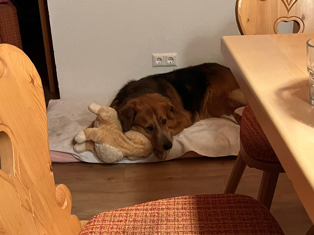 Apparthotel Tom Sojer主图