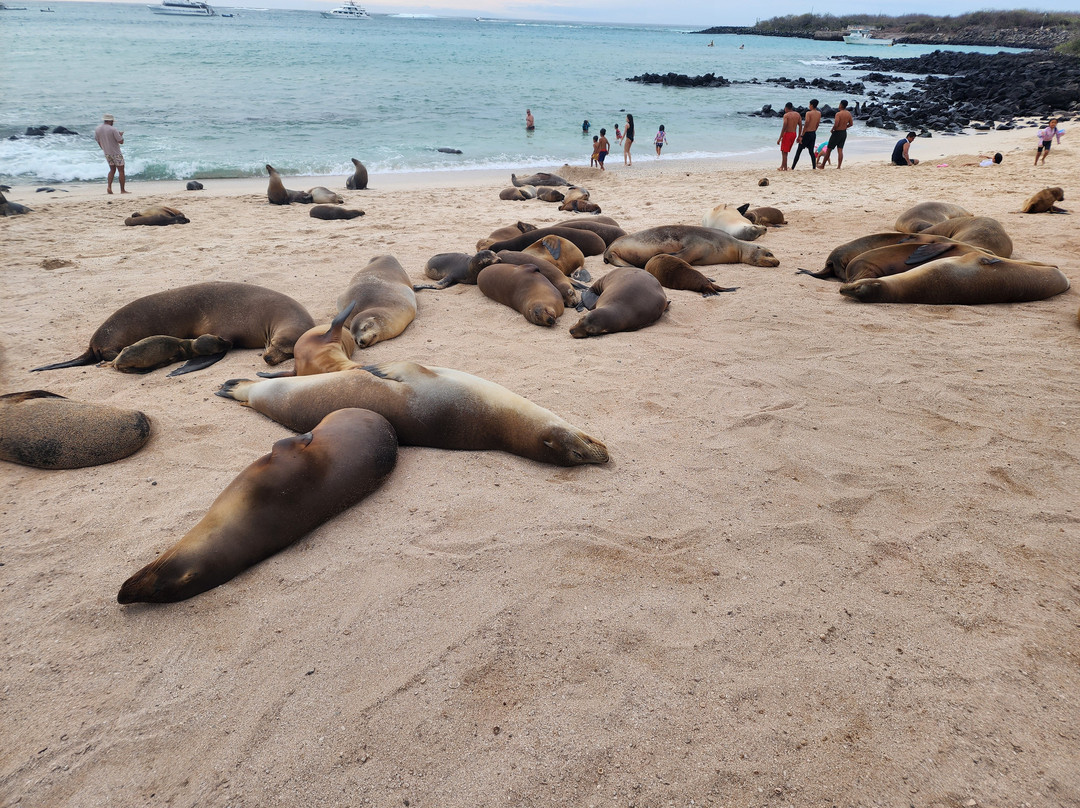 Galapagos Path景点图片