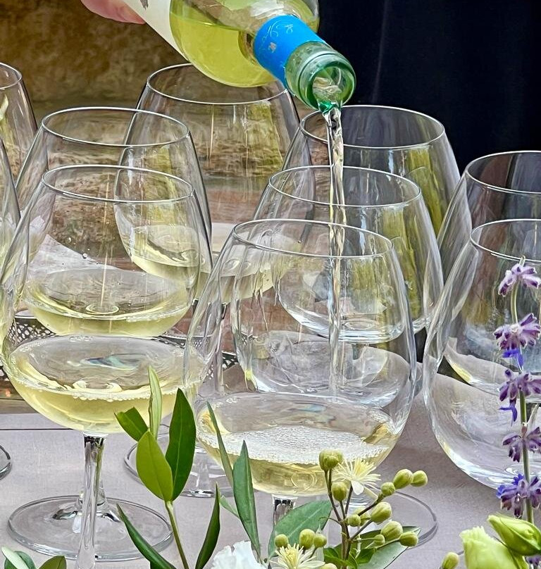 Villa Cosmiana Visit And Wine Tour景点图片