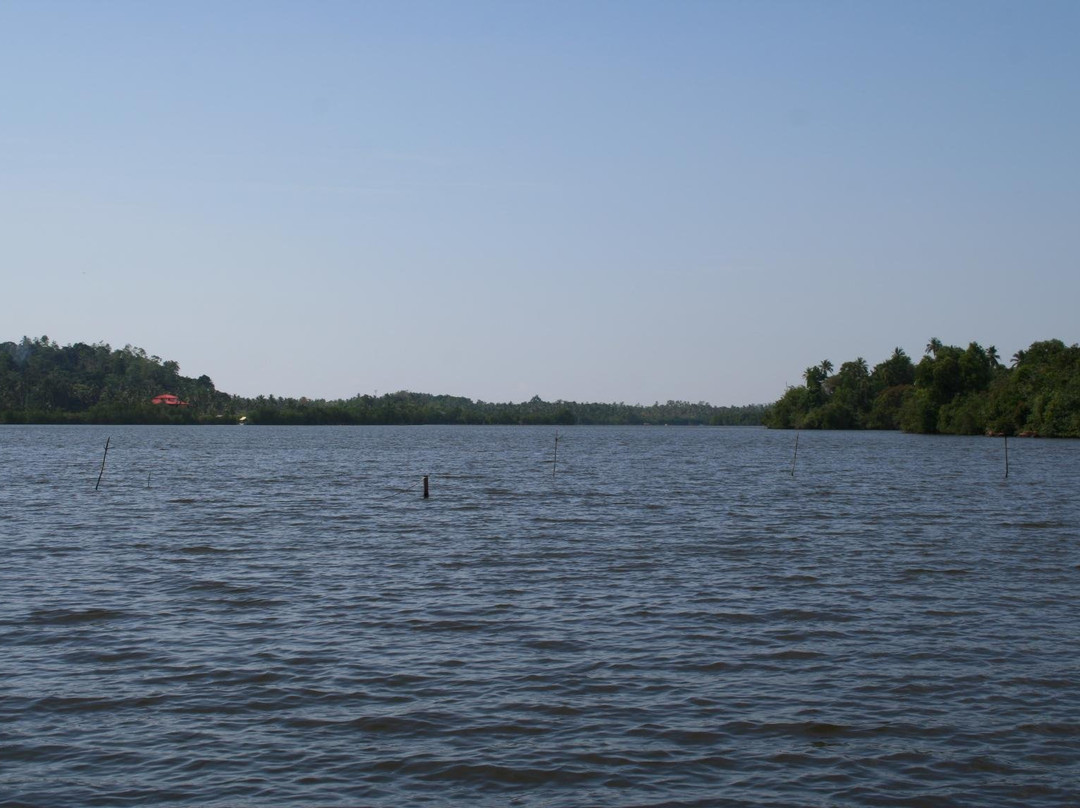 Madu River Safari by Buddhi-巴拉碧提雅必去景点