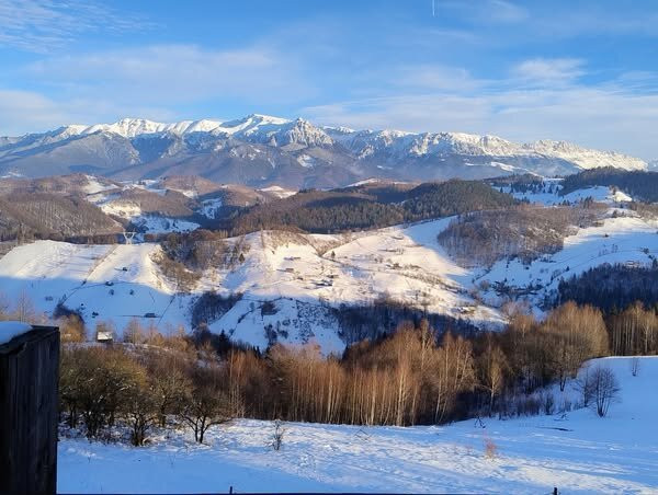 Cetatea Carului主图