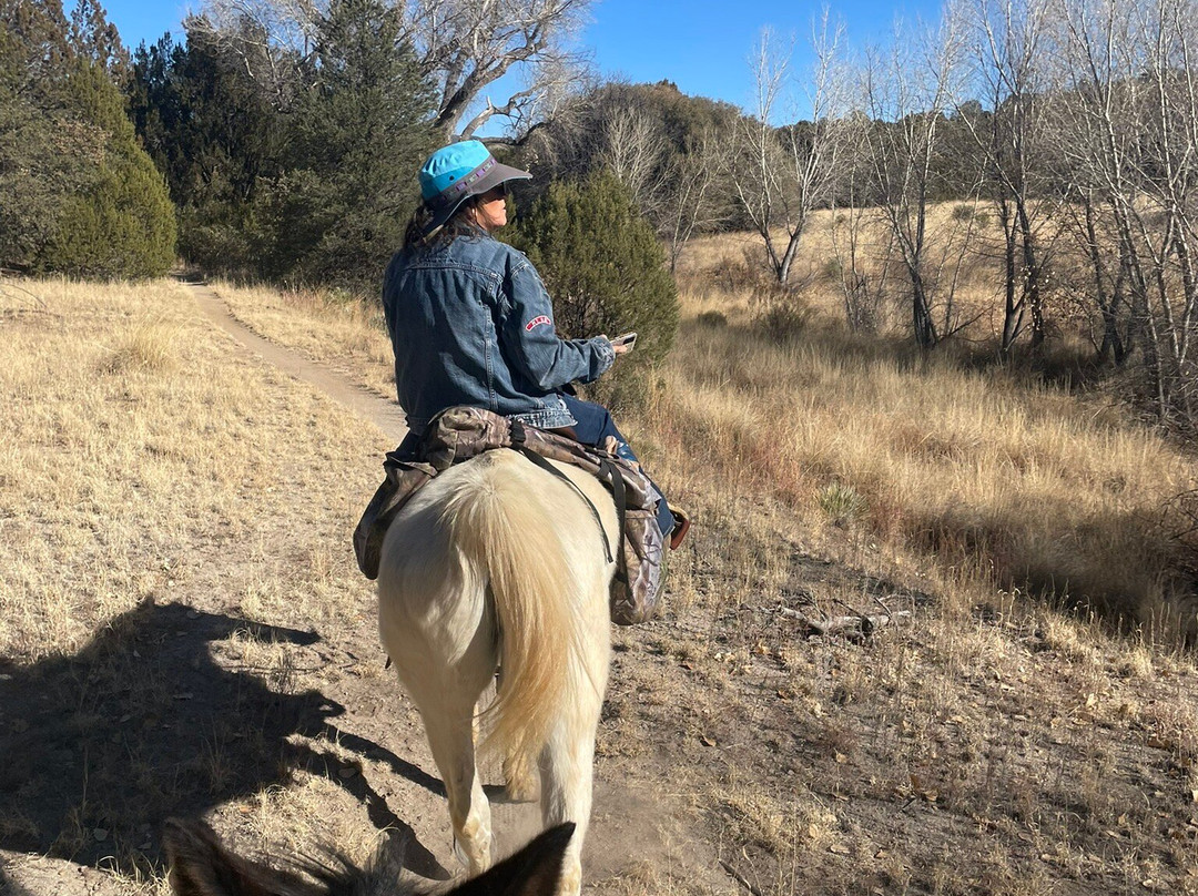 WolfHorse Outfitters Day Tours-Silver City必去景点