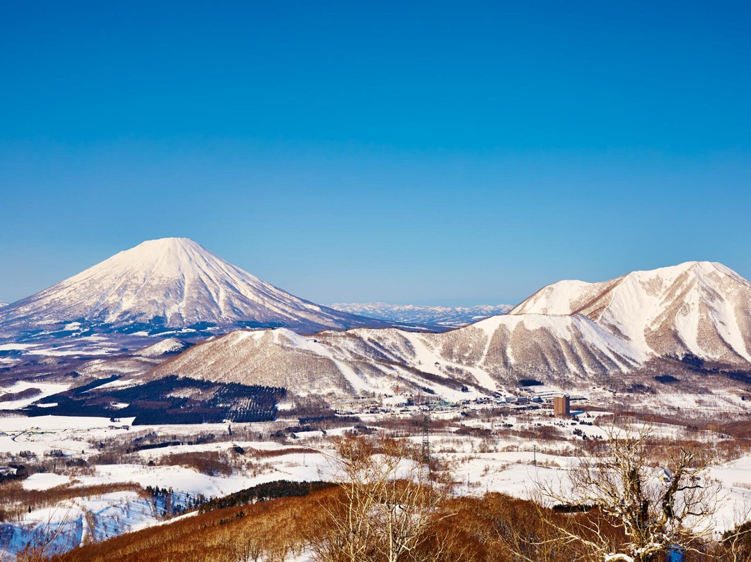 真狩村旅游攻略图片