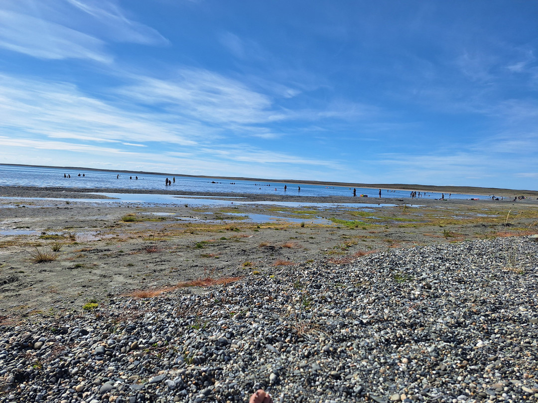 Laguna De Los Cisnes