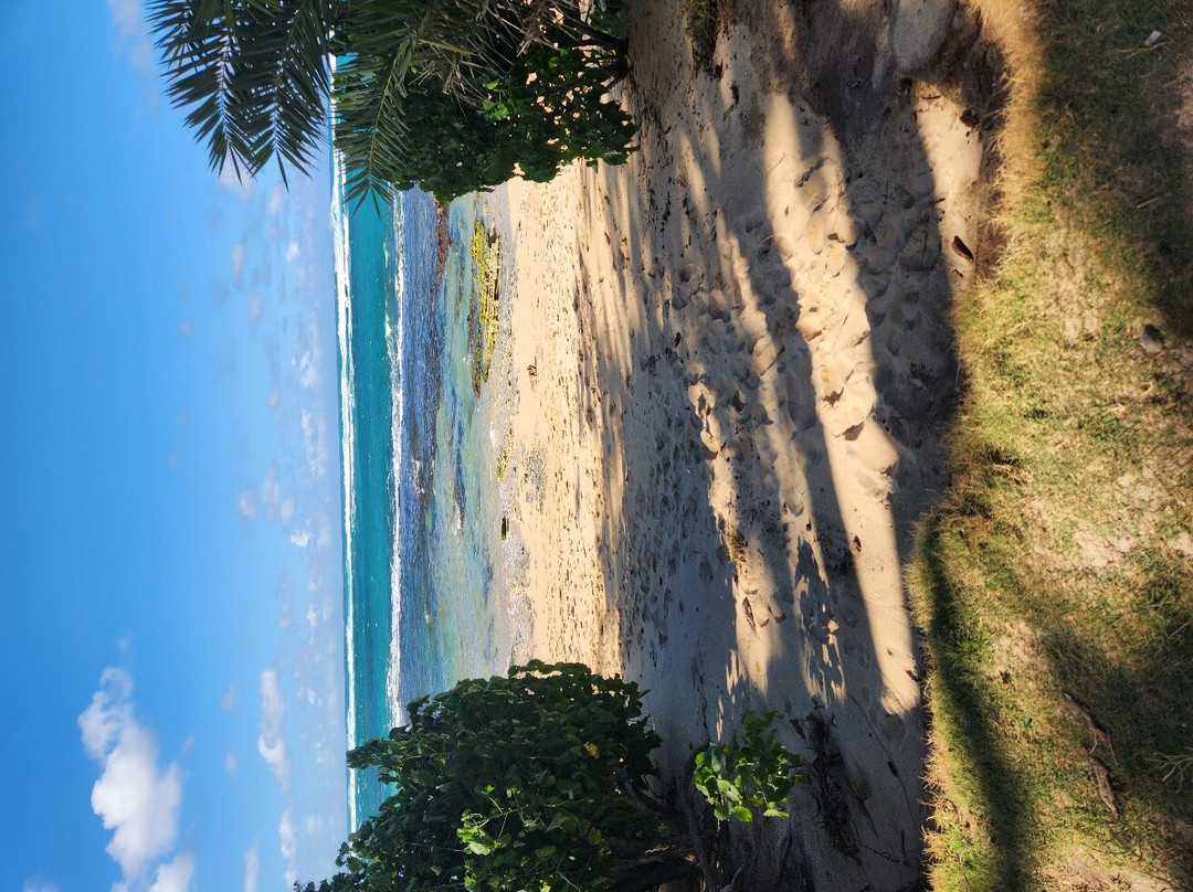 Private Tours Hawaii-火奴鲁鲁必去景点