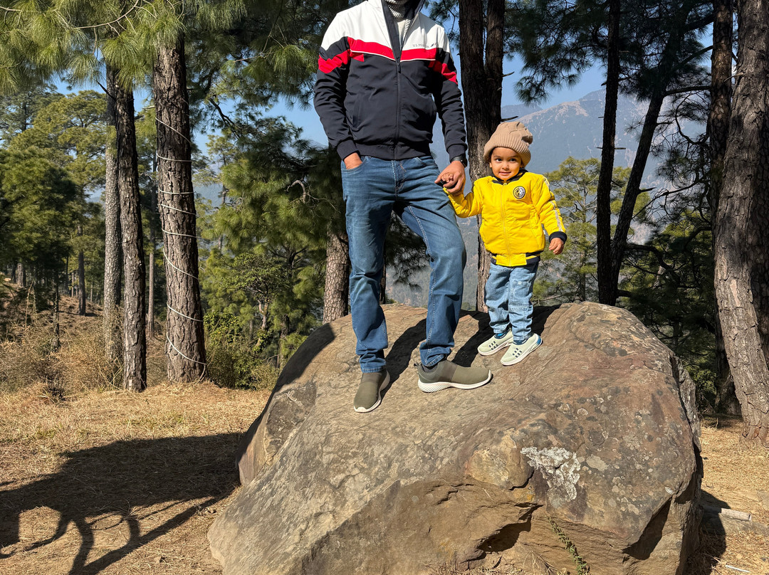 Lemon Tree Hotel Mcleodganj主图