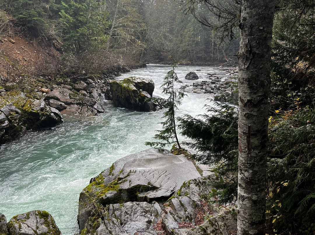 Cheakamus River-惠斯勒必去景点