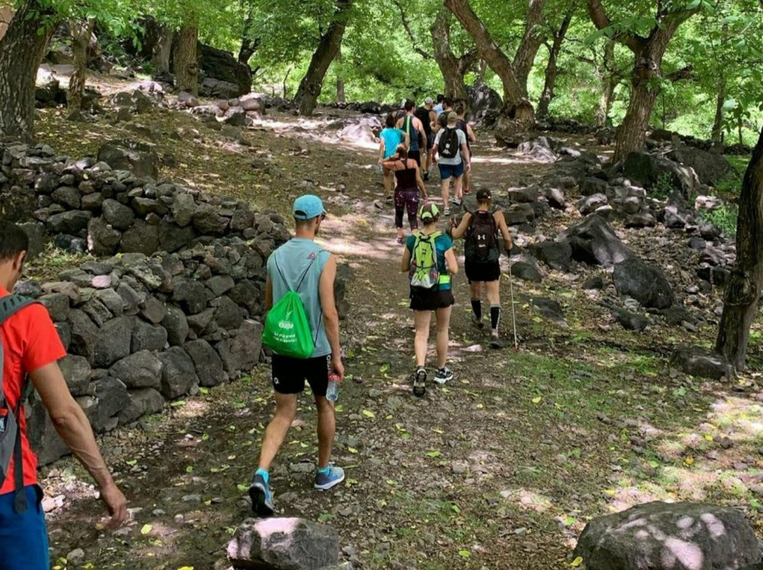 Amazouz Morocco Tours - Palmeraie-Palmeraie必去景点