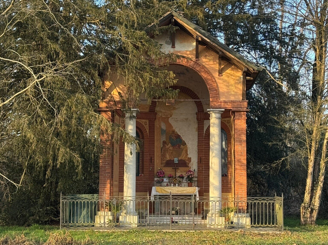 Parco Del Ticino景点图片