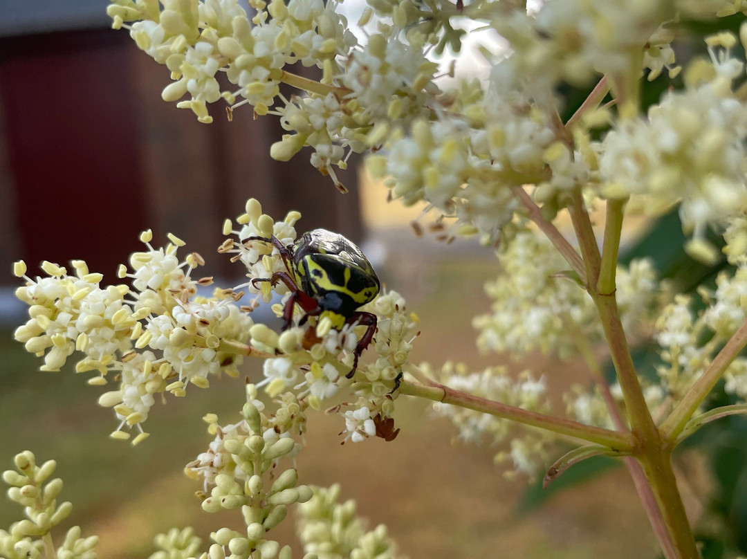 St Andrew's Uniting Church-Rosedale必去景点