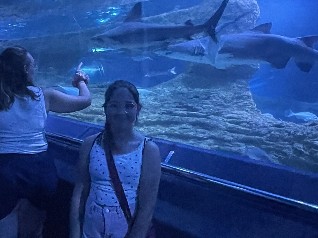 AQWA The Aquarium Of Western Australia-拉瑞斯必去景点