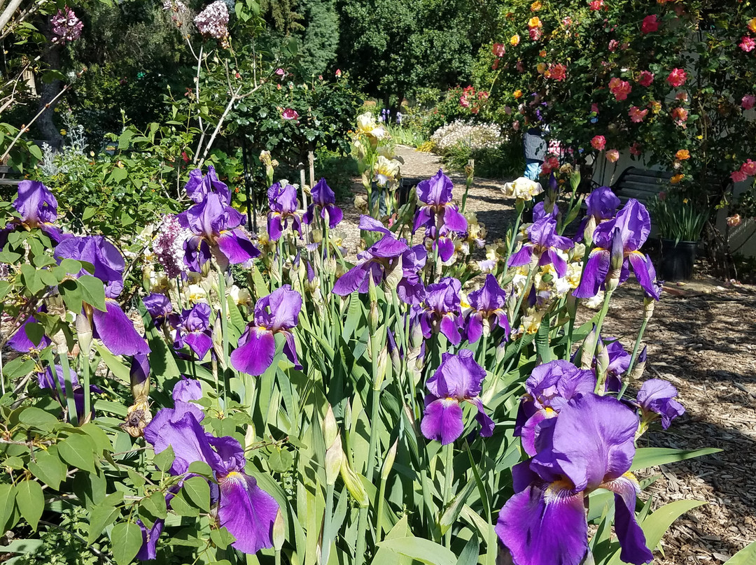 California Nursery Historical Park-费利蒙必去景点