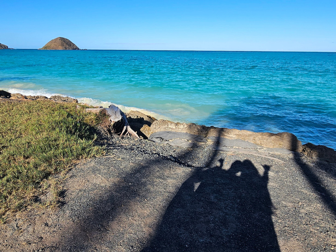 Surfing with Firefighters Surf & Rescue-火奴鲁鲁必去景点