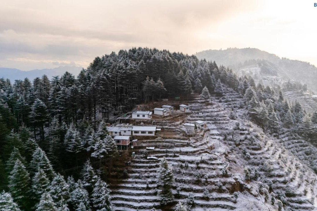 The Deodar Stay