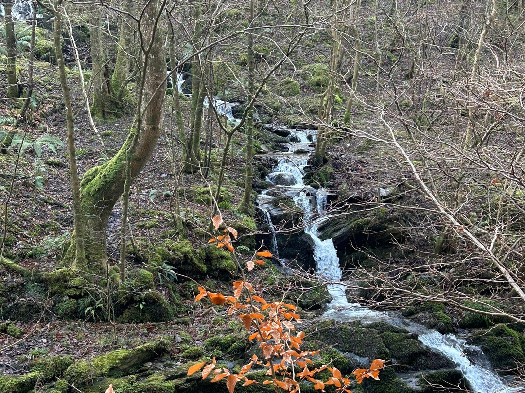 The Rockford Inn主图