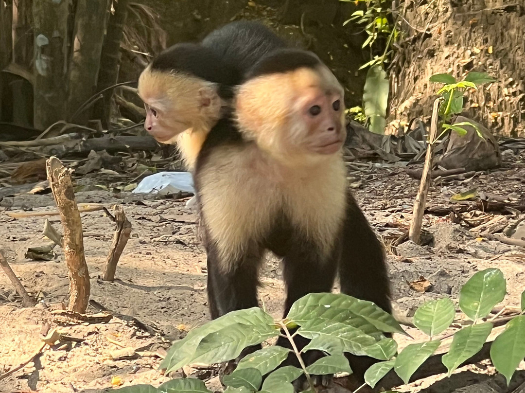 GoSUPCostaRica景点图片