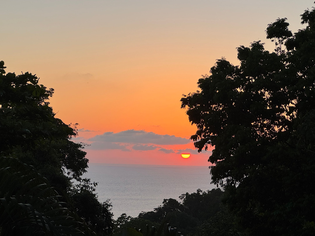 El Remanso Rainforest Lodge主图