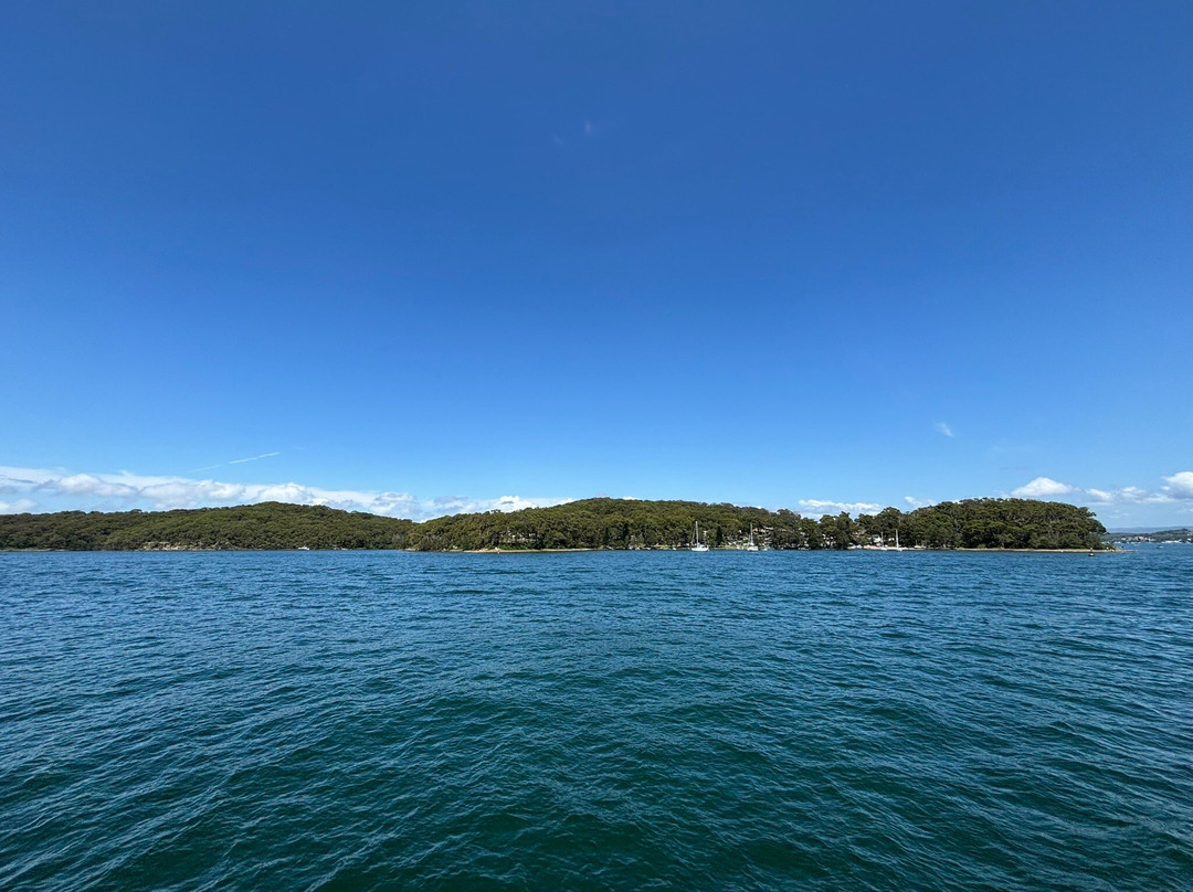 Lake Macquarie Cruises景点图片