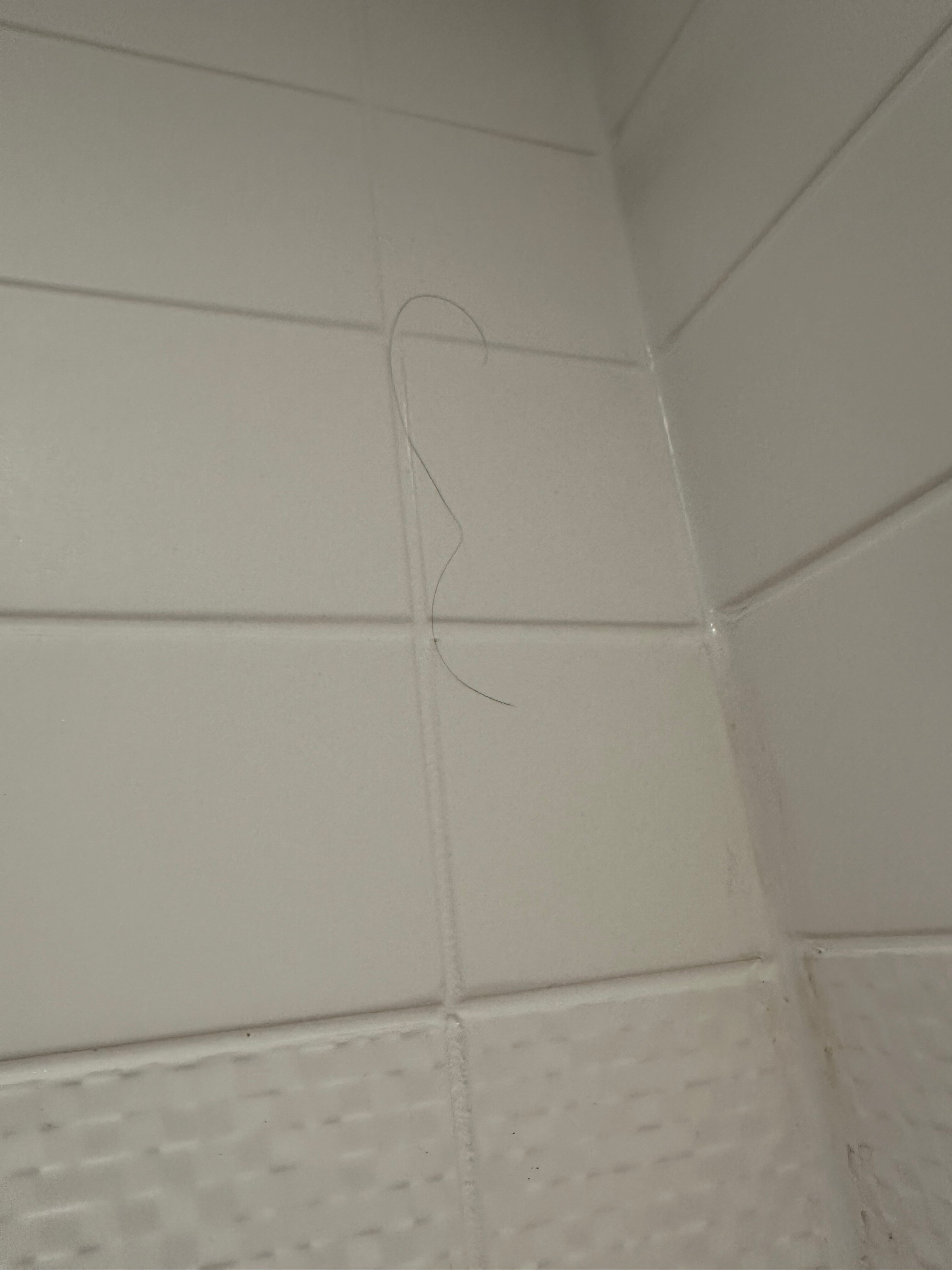 Fairfield Inn & Suites Atmore-浴室