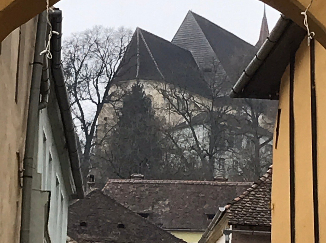 Centrul Istoric Sighișoara景点图片