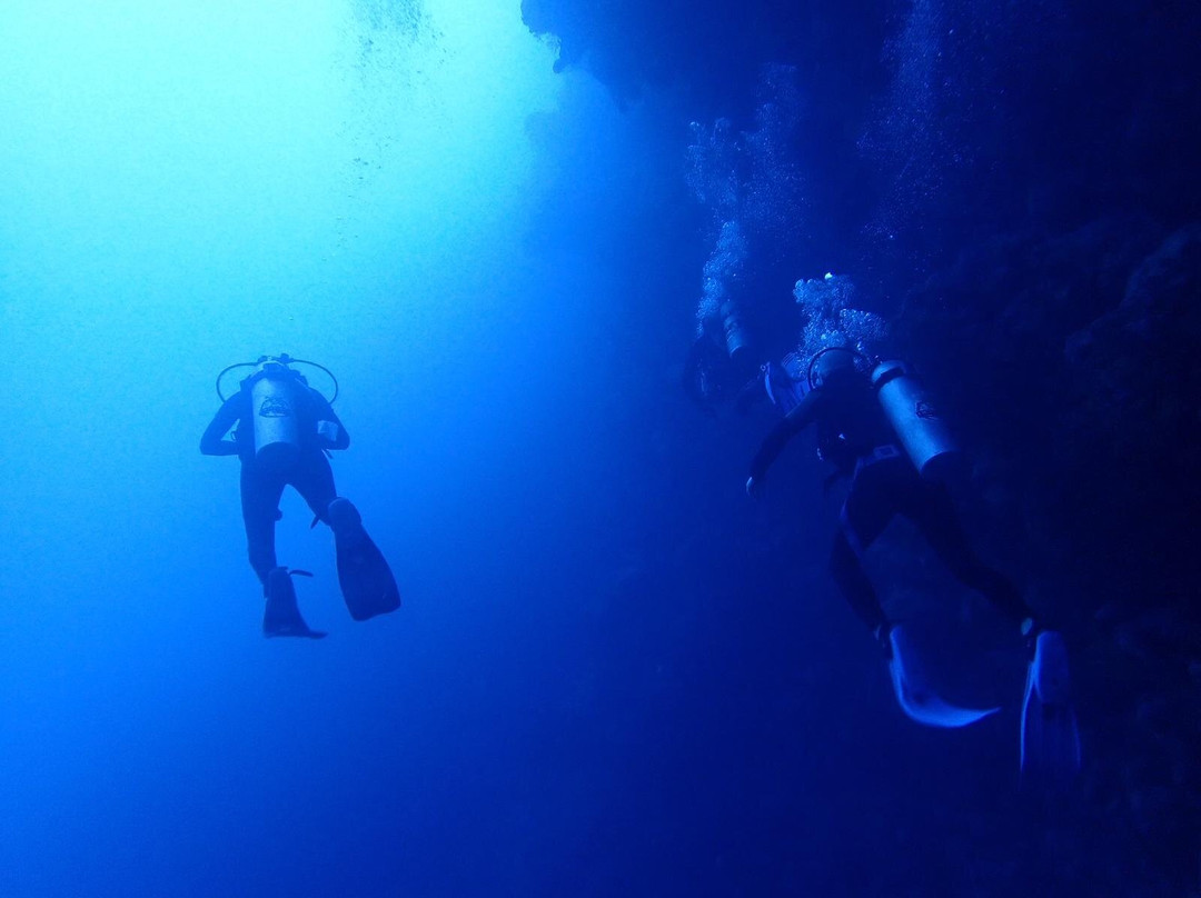Octopus World Dahab-达哈卜必去景点