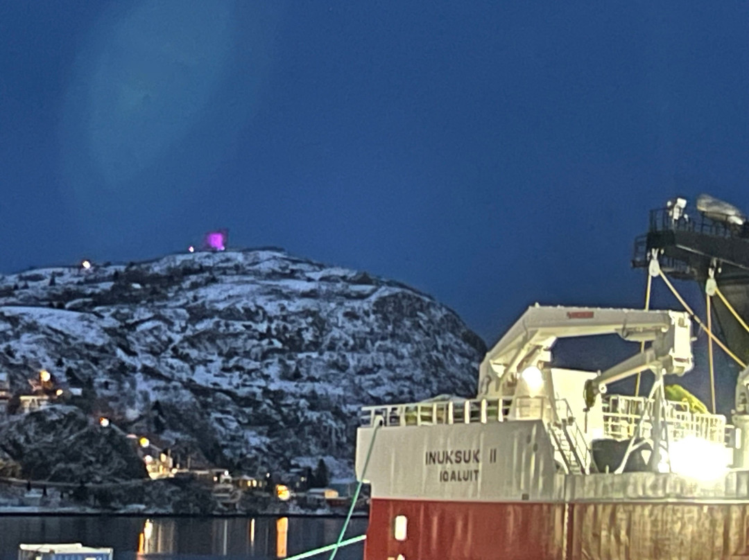 Alt Hotel St. John's主图