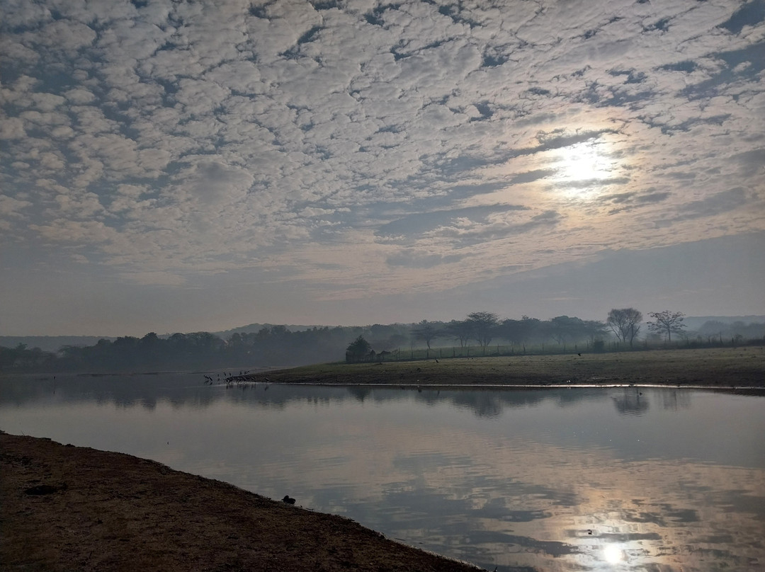 Damdama Lake-Sohna必去景点