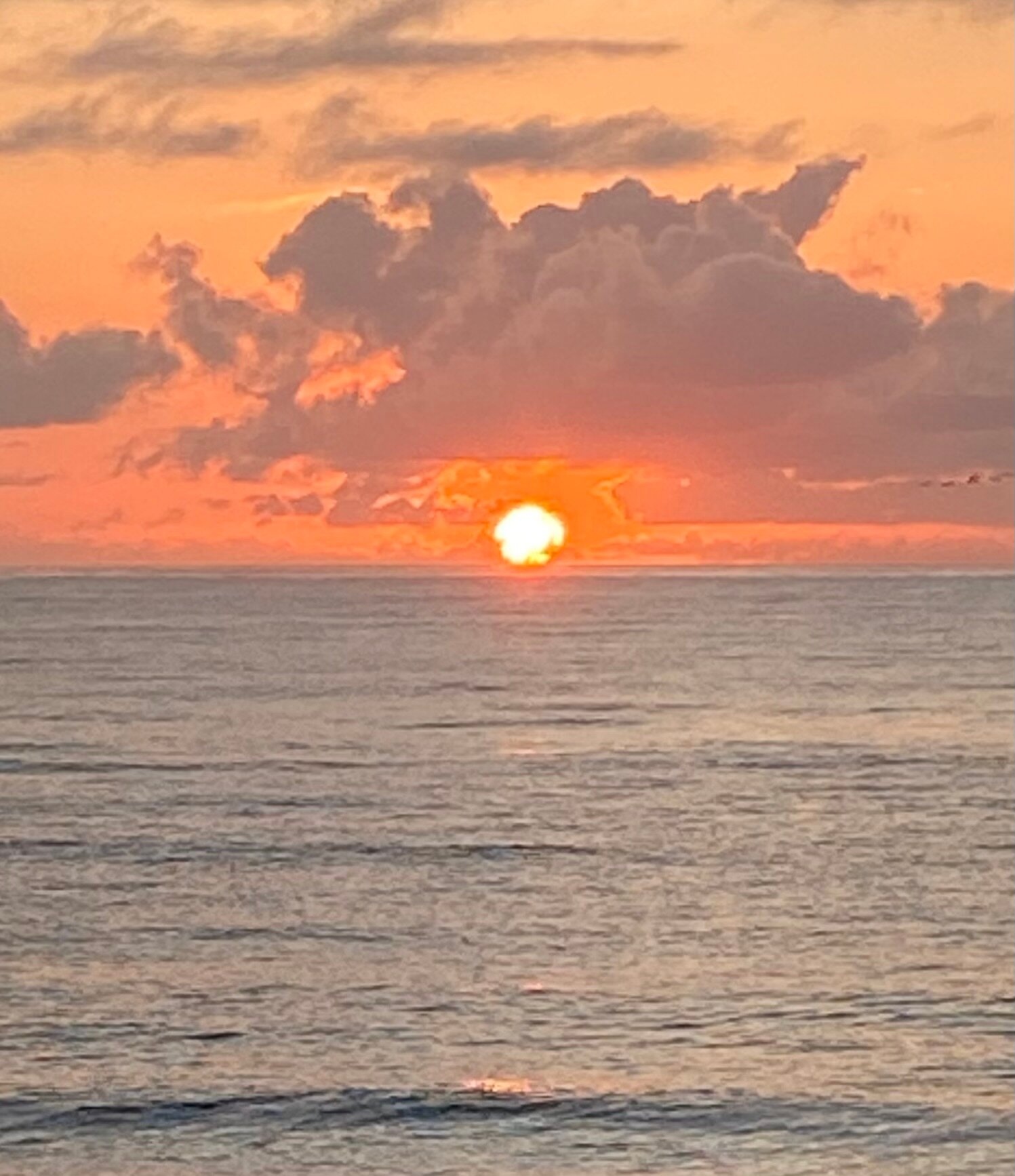 Residence Inn Fort Lauderdale Pompano Beach/Oceanfront-酒店景观