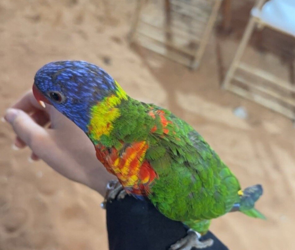 Liwa Beach-哈伊马角必去景点