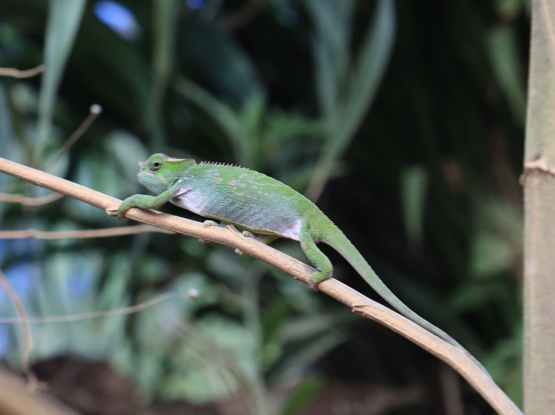 Tanzania Secret Within-坦噶必去景点