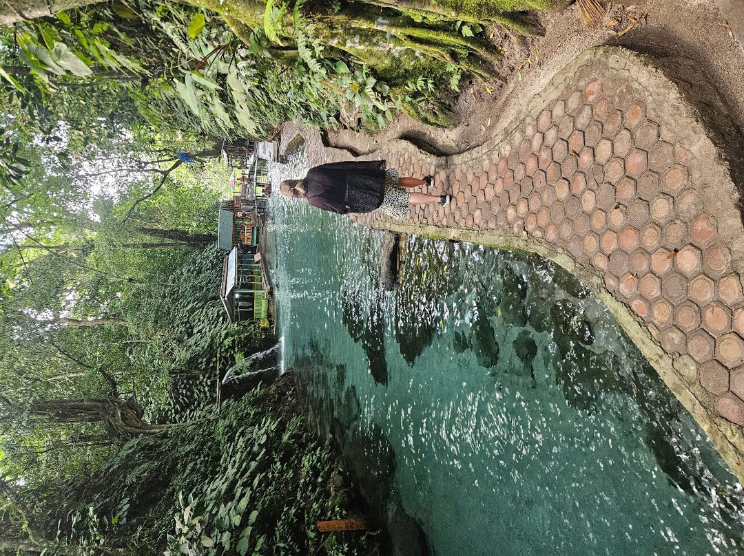 Junglebooked Adventure-棉兰必去景点