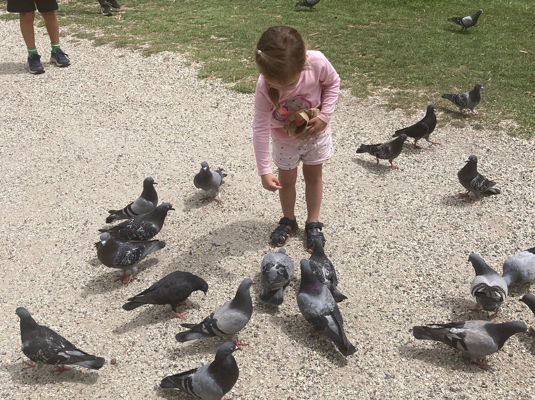 Ballarat Wildlife Park-巴拉瑞特必去景点