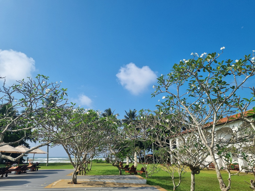 Heritance Ayurveda主图