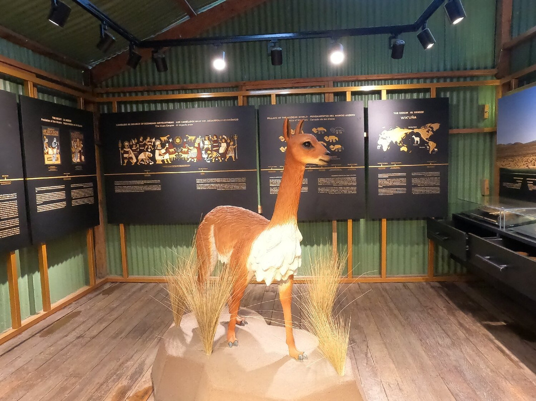 Mundo Alpaca Arequipa-阿雷基帕必去景点