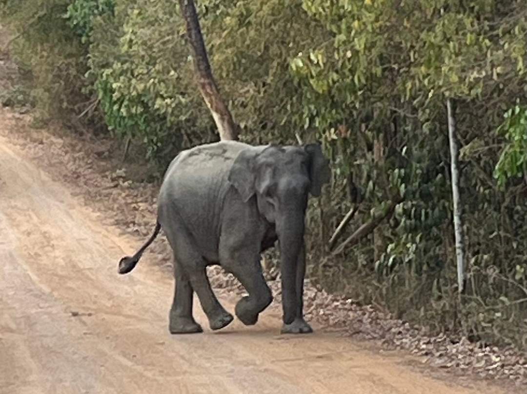 Kui Buri National Park-桂武里必去景点