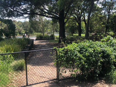 Sydney Park Picnic Tables-Alexandria必去景点