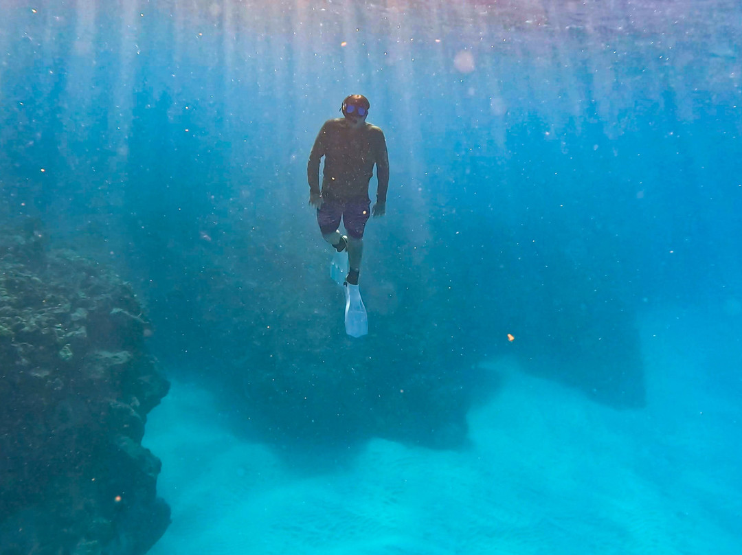 Kona Offshore Adventures-凯鲁瓦-柯纳必去景点