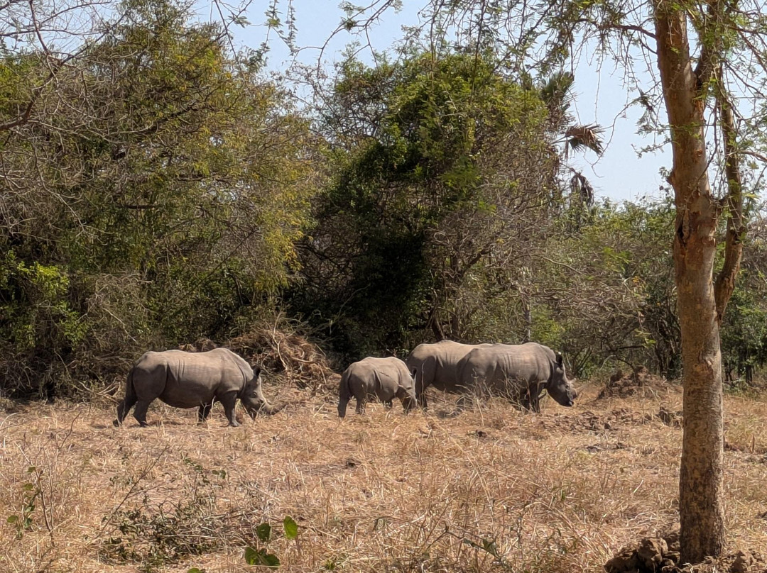 Simba Africa Expeditions Day Tours-坎帕拉必去景点