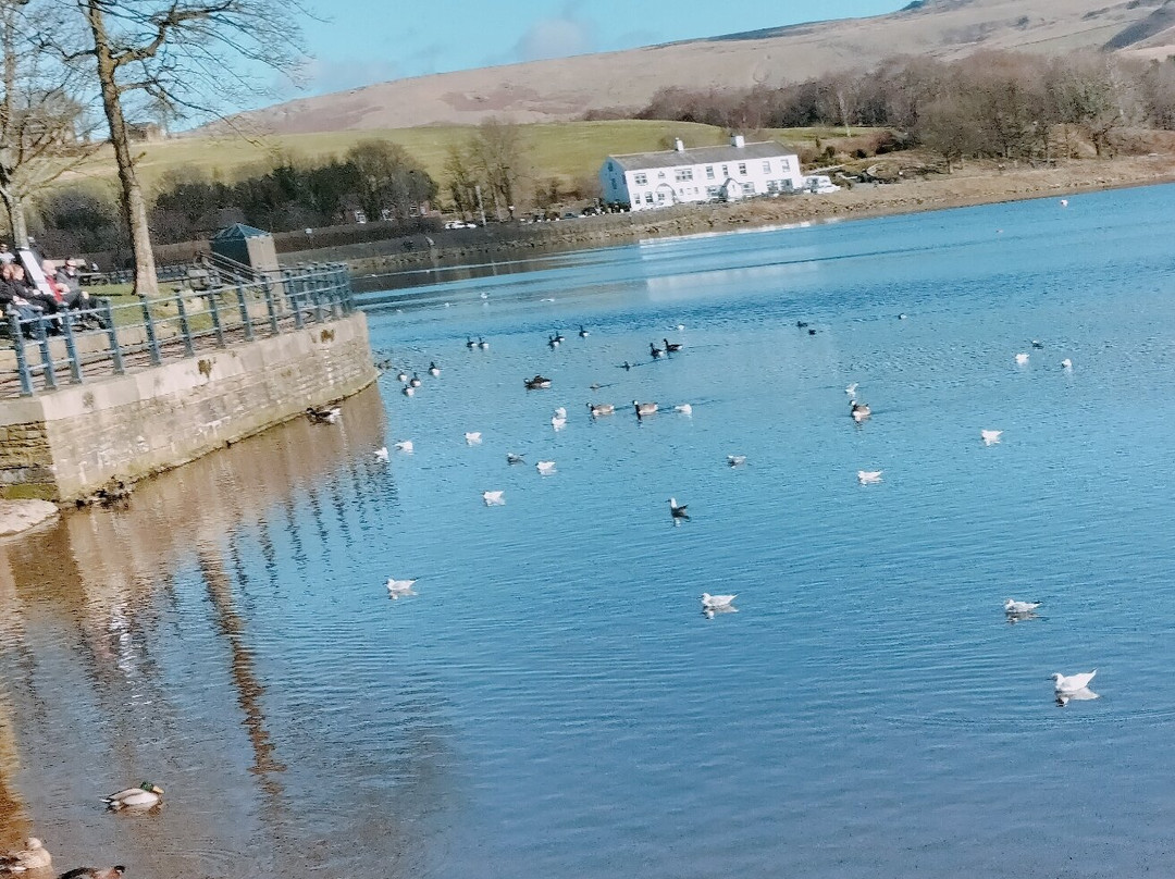 Hollingworth Lake景点图片