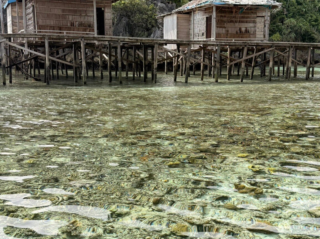 La Galigo Liveaboard - Raja Ampat South 9D/8N景点图片