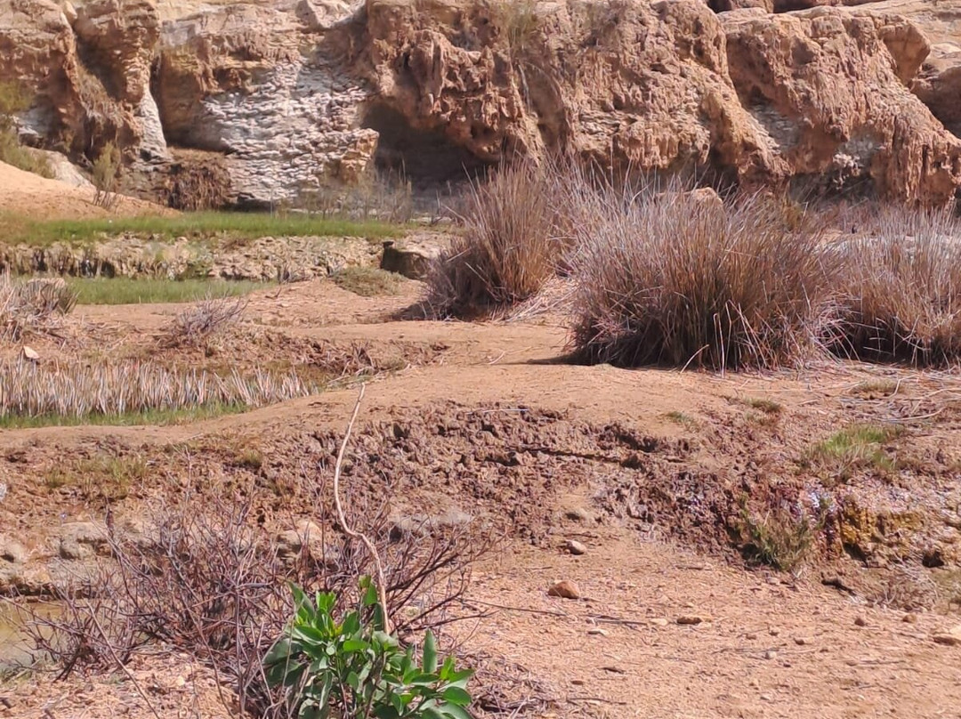 Be-In-Naturetours-索维拉必去景点