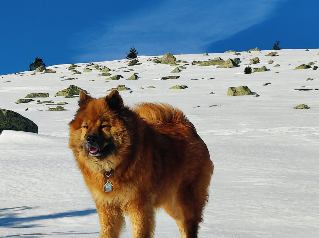 Chalet du Mont Lozere主图