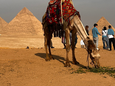 Exodus Travel-开罗必去景点