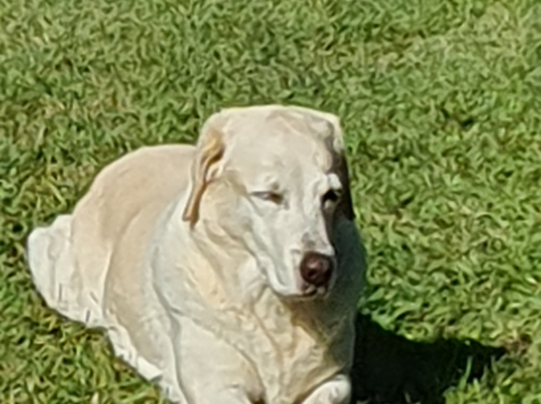 Villa Rayon Vert主图