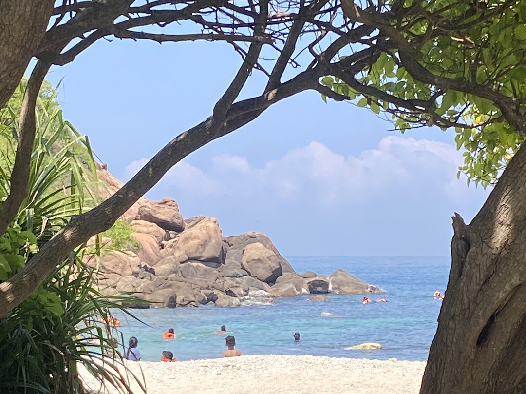 Deshan's Tour of Sri Lanka-Nawalapitiya必去景点