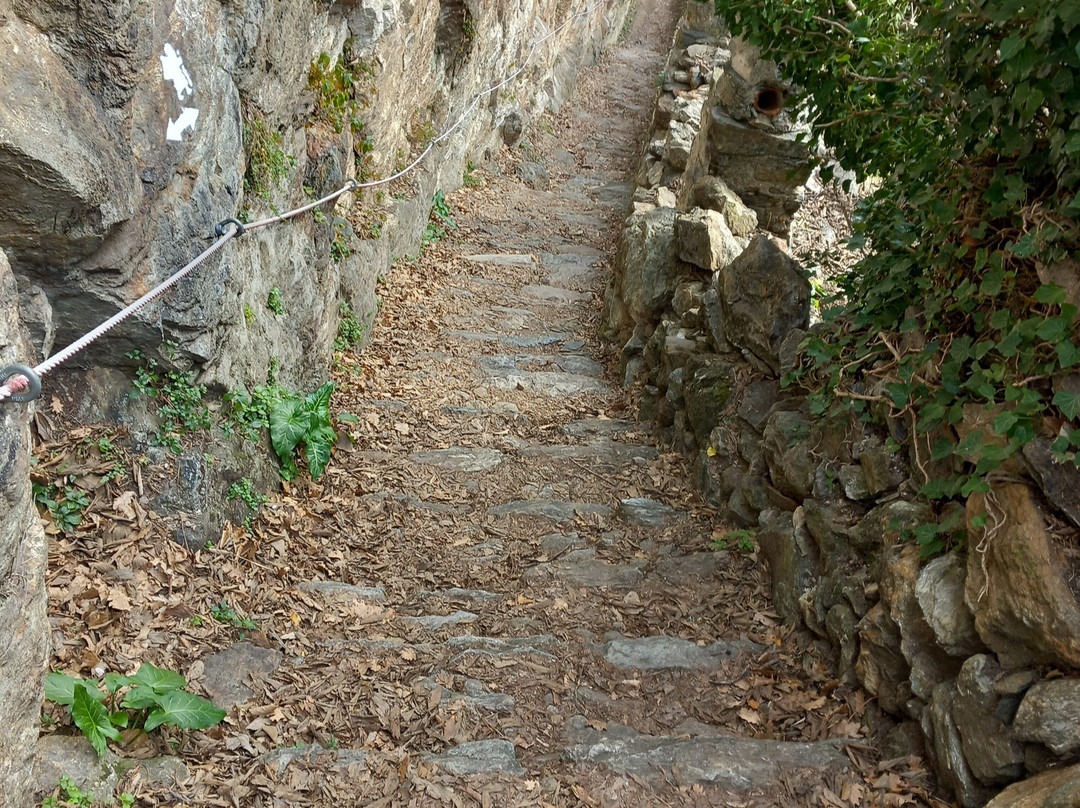 Sentiero dei Vigneti di Carema景点图片