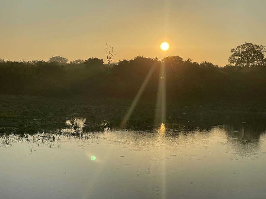 Infinity Safari Udawalwa Sri Lanka-Sevanagala必去景点